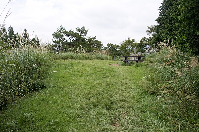 File:Mt.Takanosu (Hakone) 02.jpg