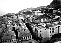 Tai Ping Shan Street'te tong lau binaları (1870 civarı): ön plandaki Çin tarzı binalar arka plandaki Avrupa binalarından farklıdır.