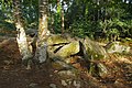 Dolmen de Mané-Ven-Guen, vue générale.