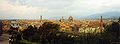 Overview of Florence