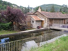 Juin et Juillet 2010 004.JPG