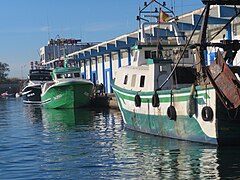 Puerto pesquero de Castellón.jpg