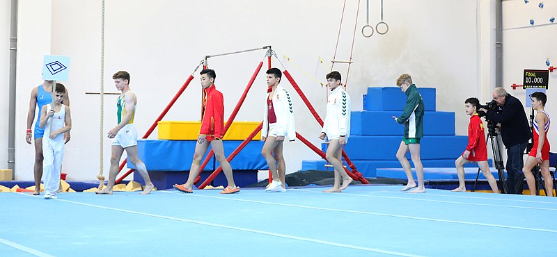 File:2019-11-30 OHC Liberec 2019 MAG Apparatus finals Floor exercise (Martin Rulsch) 011.jpg