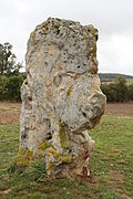 Le menhir de l'étang de Chénevry, vu du côté droit.