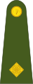 Second-lieutenant (Irish: Dara-lefteanant) (Irish Army)[23]