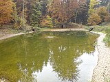 Der untere Schwanenweiher mit Tumulus