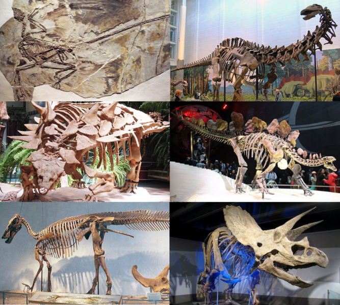 File:Various dinosaurs2.png