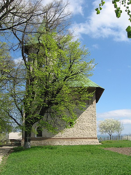 File:Biserica Adormirea Maicii Domnului din Deleni.jpg