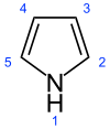 Numbered skeletal formula of pyrrole