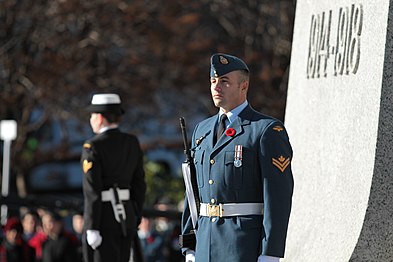 Remembrance Day 2010 in Ottawa, Canada