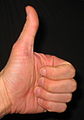 Aboutmovies Thanks for leading the way in last week's Collaboration of the Week! For your work on FLIR. Aboutmovies (talk) 09:47, 30 June 2009 (UTC) COTW Award from WikiProject Oregon