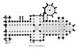 Plan of Wells Cathedral in England shows a second transept near the east end, an eastern "Lady Chapel" and octagonal chapter house for meetings.