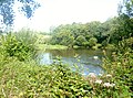 La rivière de Pont-l'Abbé : le plan d'eau (étang) du Moulin Neuf, partie amont (limite communale entre Tréméoc et Plonéour-Lanvern).