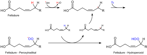 Mechanismus der Lipidperoxidation.svg