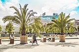 Palms on the Market Square