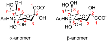 Neuraminic acid anomeric configuration