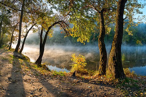 მეორე ადგილი: National park "Sviati Hory" (Holy Mountains), Donetsk Oblast, Ukraine - Attribution: Balkhovitin (License: CC BY-SA 3.0)