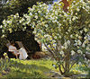 Marie Krøyer and Rap the dog in the garden, framed by a rosebush