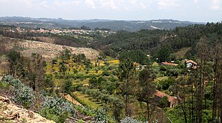 Penacova-04-Landschaft-2011-gje.jpg