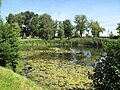 A large green in the village of Pritzhagen, Germany