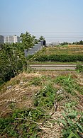 Split by the Gyeongbu Line in Seryu-dong, Suwon 37°15′19″N 127°0′21″E﻿ / ﻿37.25528°N 127.00583°E﻿ / 37.25528; 127.00583