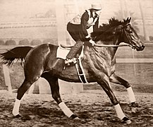 Photo sépia d'un cheval monté au galop.