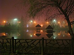 Mellat Park at Night