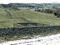 Sheepfold (1996-2003) : enclos à moutons (Crook, Lake District) avec arbre poussant dans un trou du rocher.