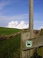 Chalkland Way above Horsedale