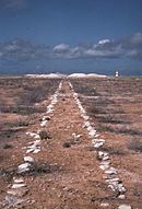 Guano-Transportfahrspur auf Jarvis Island