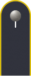 Schulterklappe der Jacke des Dienstanzuges für Luftwaffenuniformträger.