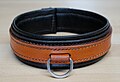 * Nomination: Leather sub collar (D-ring side) made by Les Cuirs d'Agathe (Hautmont, France) --Trougnouf 12:14, 25 October 2024 (UTC) * * Review needed