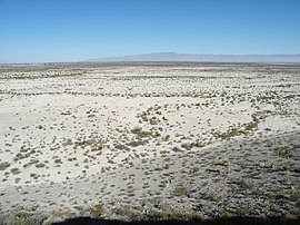 Wüstenlandschaft bei Viesca