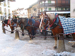 Chevaux sur la place de l'église de Megève