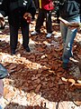 Image 38Shards of pottery vases on the street, after being thrown from the windows of nearby houses. A Holy Saturday tradition in Corfu. (from Culture of Greece)