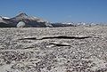 Exfoliation on Lembert Dome