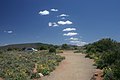 Clouds arrange itself coincidentally to extend the trail