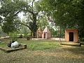 Bhuiyar women are worshiping in village Temple under old Ficus religiosa tree.