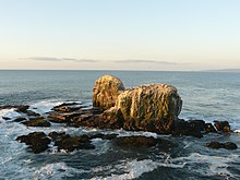 Punta de lobos.jpg