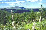 Typische, abgerundete Fjellberge im Vindelfjällen-Naturreservat, Schweden …