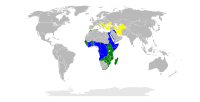 Área de distribución da garza amarela. Amarelo: verán; verde: todo o ano; azul: inverno.