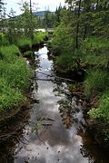 Naturstien ved Buråstjernet i Hurdal