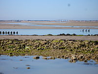 Le passage du Gois et le pont de Noirmoutier en arrière-plan