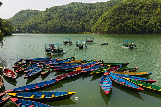 Boats in Phewa..