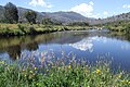 Thredbo River near the Diggings campground in Kosciuszko National Park.