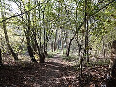 Zeuthen NSG Höllengrund-Pulverberg Blick Richtung Hoherlemer Straße.JPG