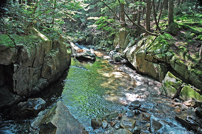 File:Adams Brook (near East Dover, Green Mountains, Vermont, USA) 8.jpg