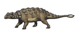 Ankylosaurus