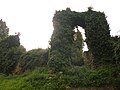 Ruine Schlossruine