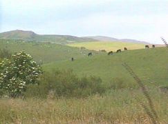 Paysage du Galloway